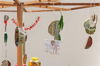 “Vancouver Special” and the Issue with Local Surveys