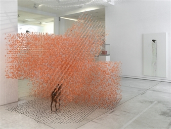 Claire Morgan: Stop Me Feeling - Frist Art Museum