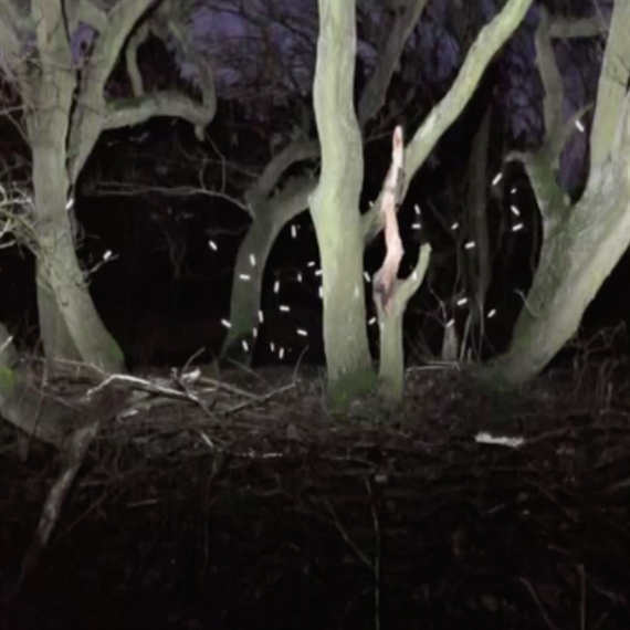 Berlin Show #5: Collectors’ Loop - Galeria Plan B, Berlin