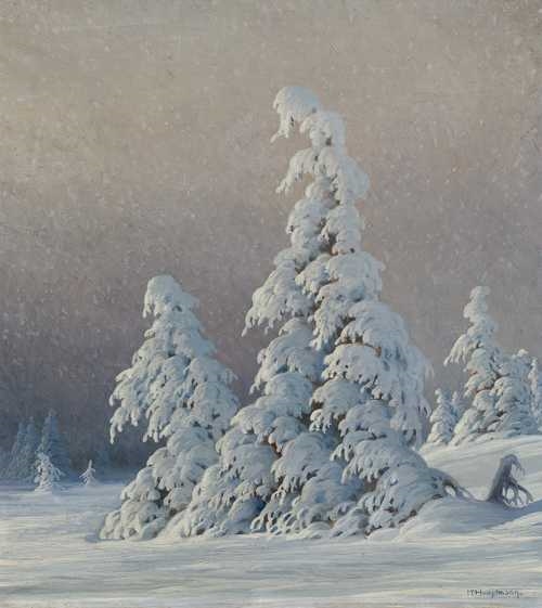 Verschneite Tannen by Karl Hauptmann
