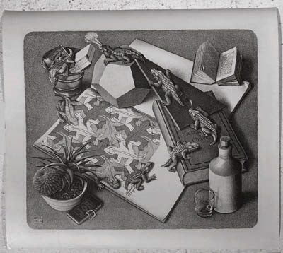 Reptielen (Reptiles) (B. 327)