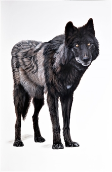 Ester Curini: Endangered  - Bernarducci Meisel Gallery