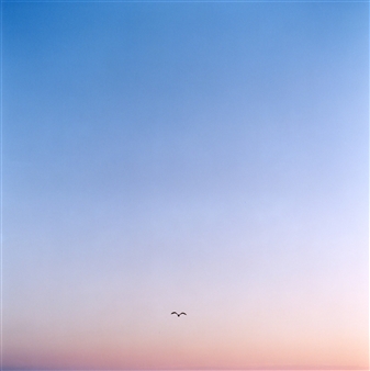 Somewhere I have Never Travelled - seeking the future together - URANO