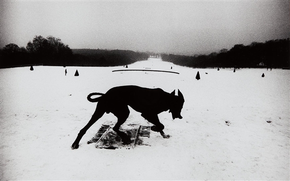 Josef Koudelka | Versailles, France (1987) | MutualArt