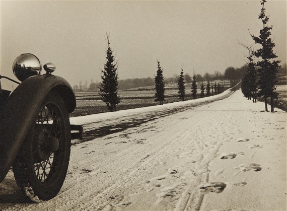 Weg Maastricht-Berg-Falkenburg Begin van den kleinen Rasberg (Small pine trees on the racing approach to Maastricht-Berg-Falkenburg Mountain)