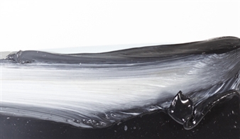 Black and White - Galerie Löhrl