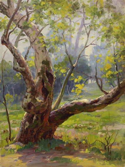3 Works: Sycamore Tree, Hazy Days Trees, Eucalyptus Trees by a Fence by Paul Grimm