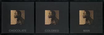 Chocolate Colored Man - Carrie Mae Weems