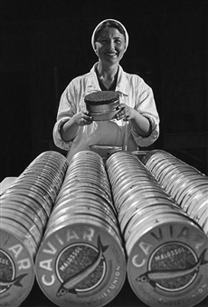 A Consumer’s Dream - National Centre for Contemporary Arts, Nizhny Novgorod