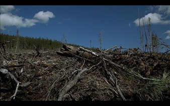 Pictures From Here - Vancouver Art Gallery