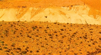 Perry Bard and Richard Sullivan: Dry Heat - Studio 10