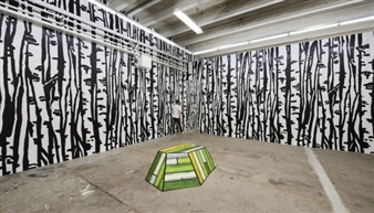 Richard Woods: Building Landscapes - David Risley Gallery