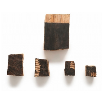 from PCO a-d and 27 - Koichi Ebizuka