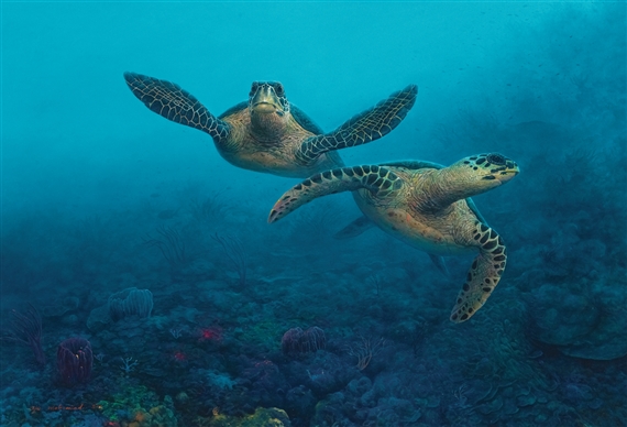 MARINE PARADISE SERIES (TWO SEA TURTLES) by Ajis Mohamad, 2013