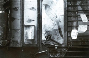 Let It All Hang! 1982, A Year of Collecting at deCordova - DeCordova Museum and Sculpture Park