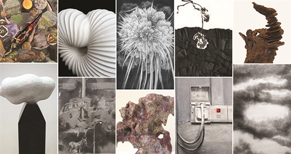 When Space Dissolves into Luminosity; Where Flowers Bloom Amidst Rocks - iPreciation