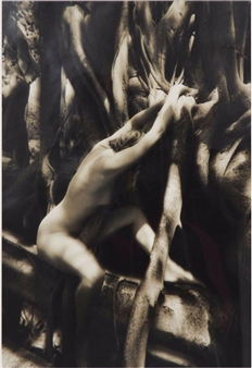 Nu aux racines - Yves Pitchen