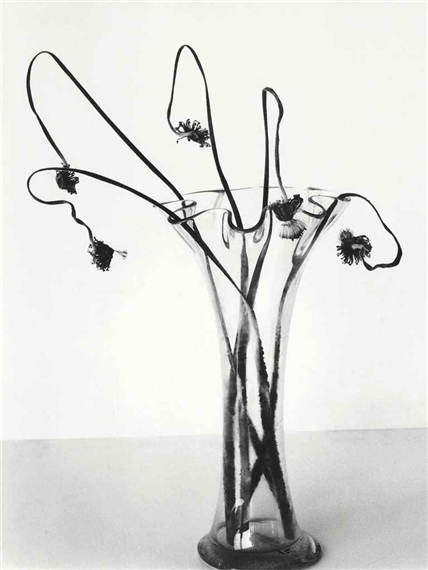 Untitled, from Sensual Flowers by Nobuyoshi Araki, 1996