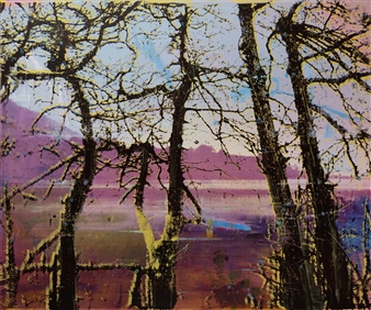 Elizabeth Magill: Headland - Wilkinson Gallery
