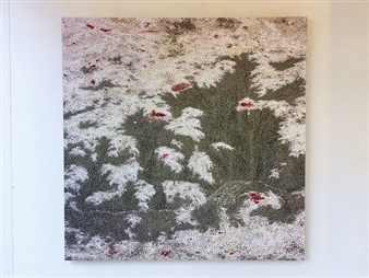 Peter Panyoczki: Surface and Beneath - Conny Dietzschold Gallery