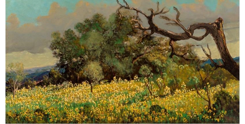 Artwork by Carl Thomas Hoppe, Sunflowers and Oaks, Bandera, Texas, Made of Oil on canvas