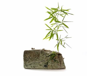 Kai Tsujimura - Ippodo Gallery, Tokyo