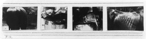 Untitled (Four views of a horse) by Franz Roh, 1922-1928