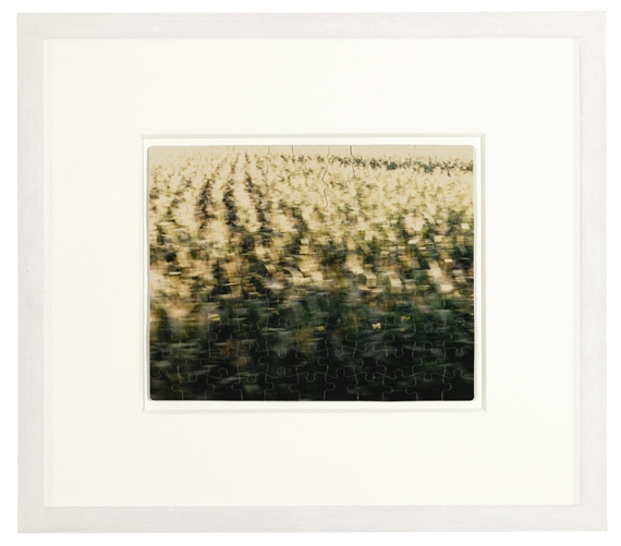 Untitled (Venezia) by Felix González-Torres, 1988