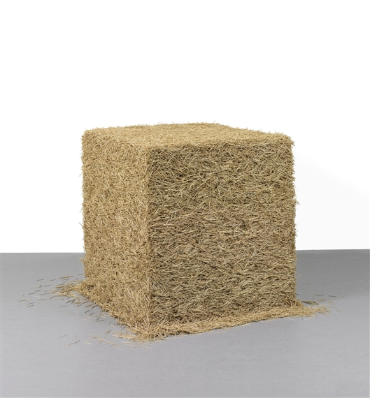 Toothpicks by Tara Donovan, 2000