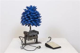 Utopia planitia - Field Projects