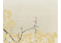 Bird by Seison Maeda