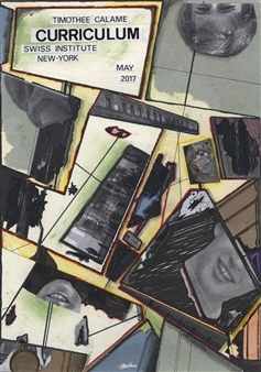 Timothée Calame: Curriculum - Swiss Institute