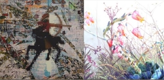 Notion and Nature - Artspace Durban