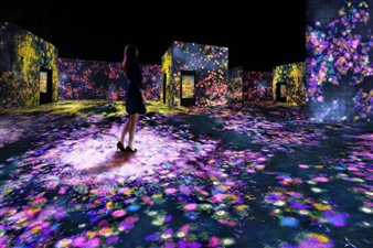TeamLab: Living Digital Forest and Future Park - Pace Beijing