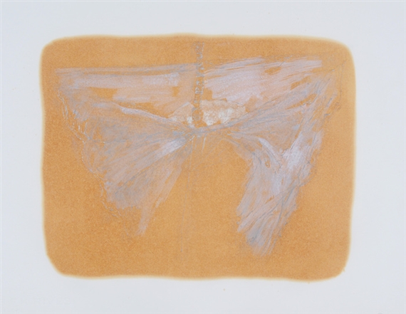 Untitled by Heidi Bucher, 1979