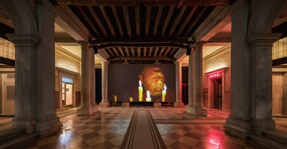Venice’s must-see collateral shows
