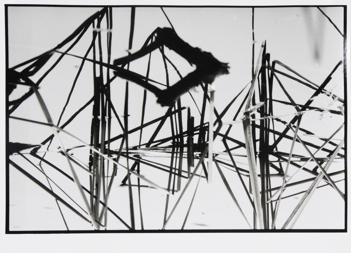 Artwork by Candid Lang, Theme - Water, Made of Gelatin silver prints