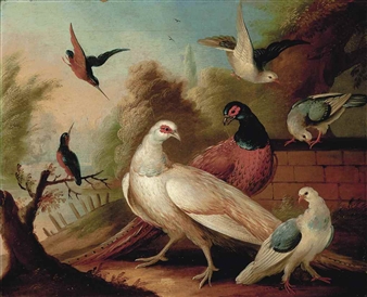 Pheasants, a pigeon and other birds, a pond beyond - Marmaduke Cradock