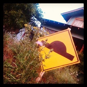 Catch the SpeedBump Art Tour Today in Dallas