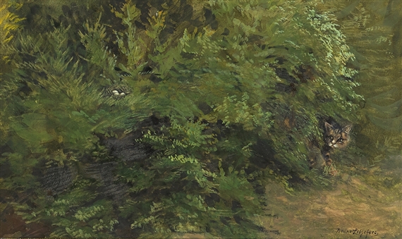 Katten Jeppe bland lövverk med fågelbo