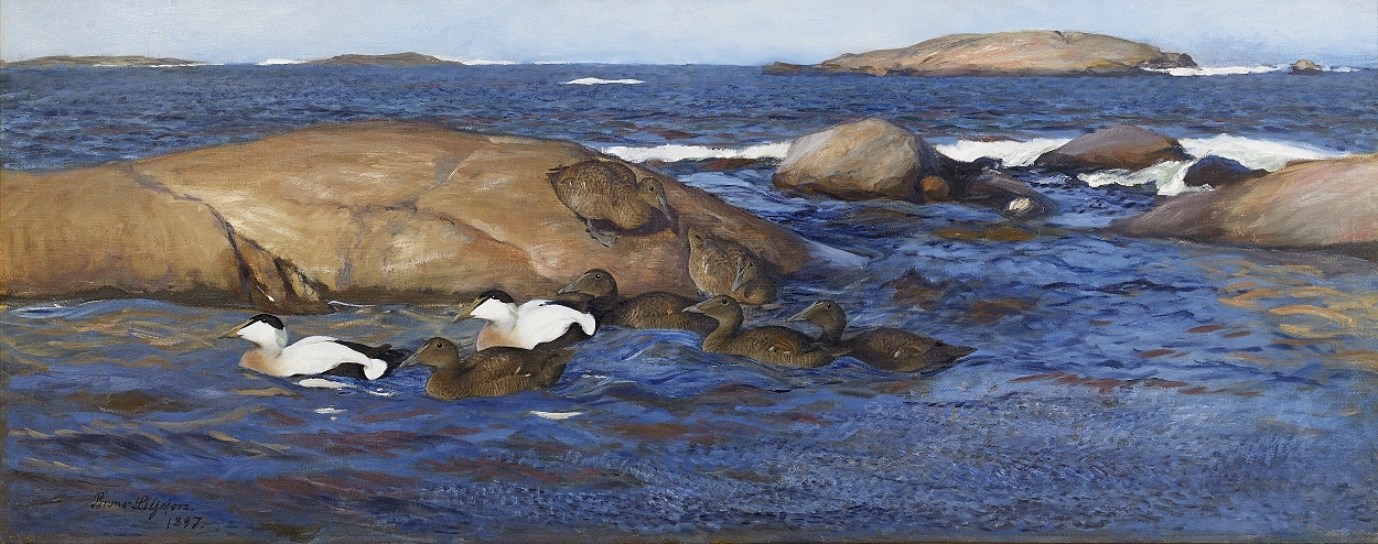 Artwork by Bruno Liljefors, Ejdrar på kobbar och skär, Made of oil on canvas