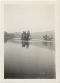 Jenni Crain: Scenes From A Pause - 321 Gallery