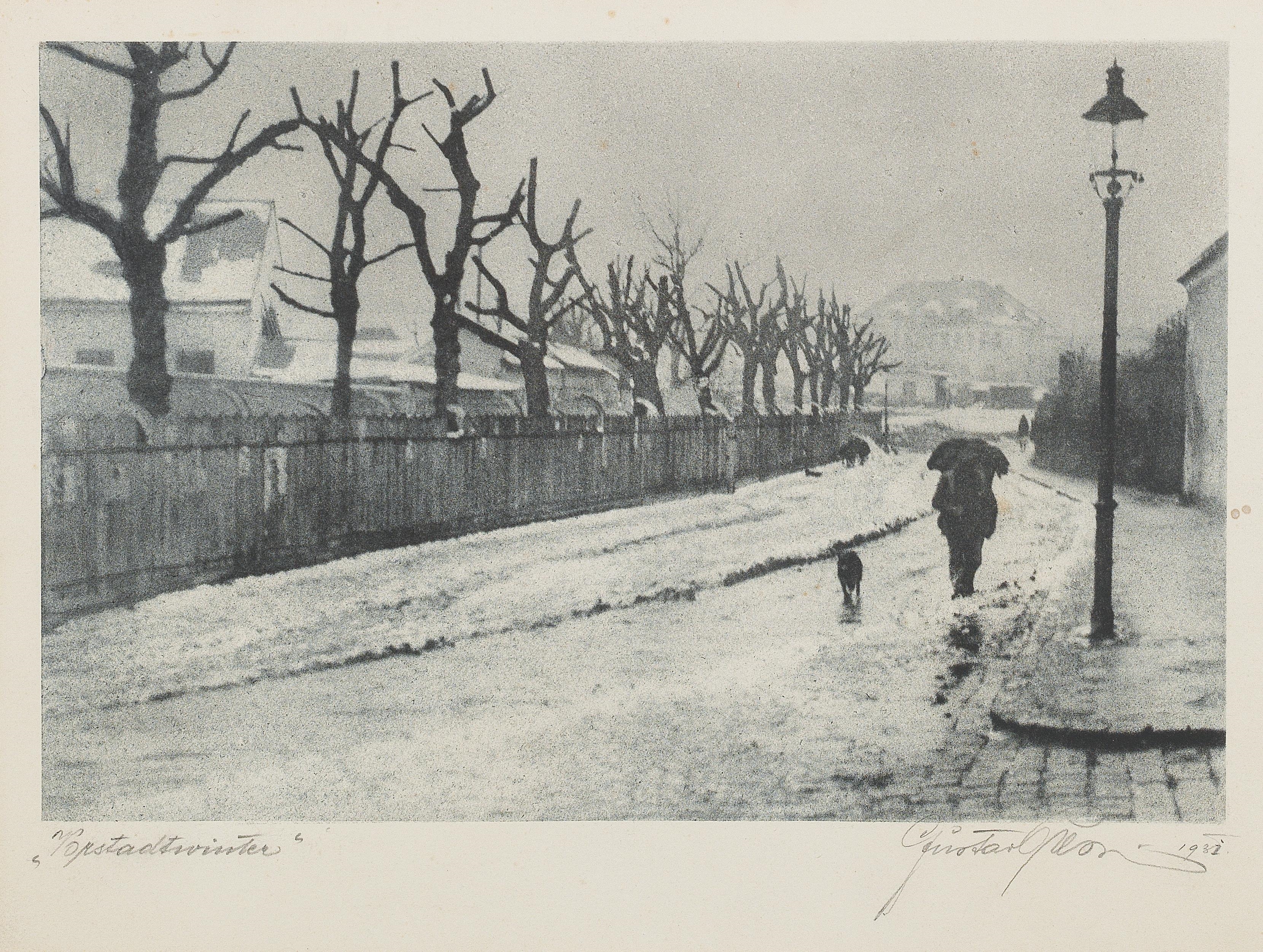 Artwork by Gustav Presser, Vorstadtwinter, Made of vintage photographs