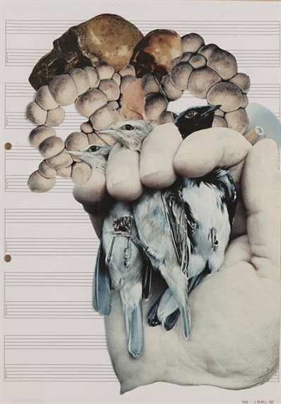 Bird in Hand by Peter Madden