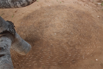 Sobre a Terra - A Gentil Carioca, Rio de Janeiro
