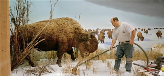 Dioramas - Palais de Tokyo