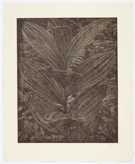 Gelber Enzian (sepia) by Franz Gertsch, 2003