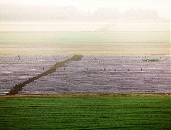 Recent Landscapes from Israel - Vision Neil Folberg Gallery