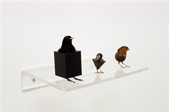 A bird in the head - Danielle Arnaud Contemporary Art