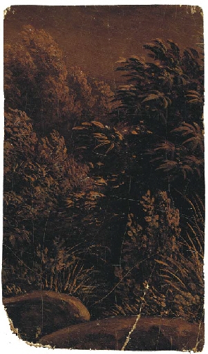 Un sous-bois près de rochers by Simon-Joseph-Alexandre-Clément Denis